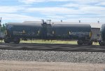 CRGX 8242